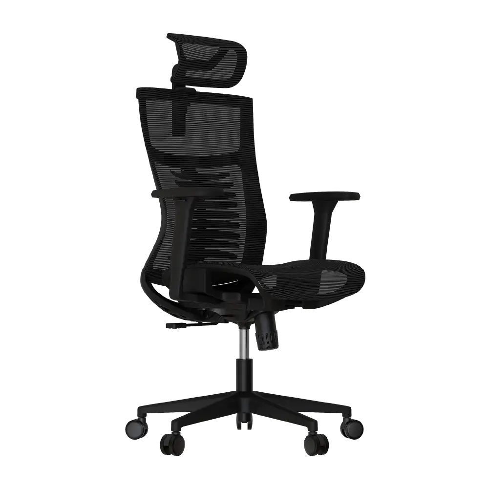 Cadeira Ergonômica Elements Vertta Pro